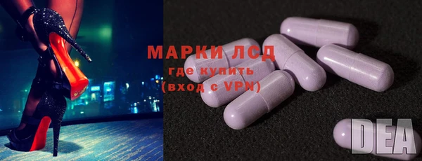 прущие грибы Алзамай