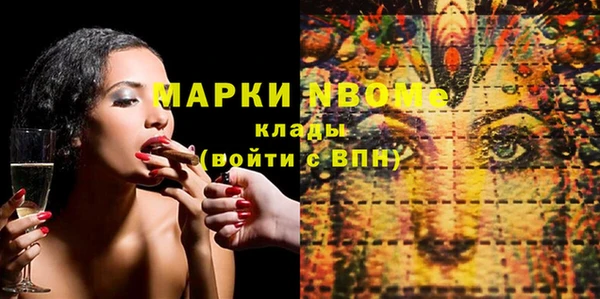 прущие грибы Алзамай