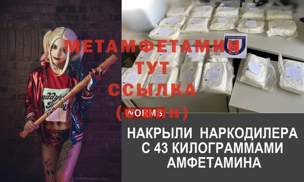 амф Алексин