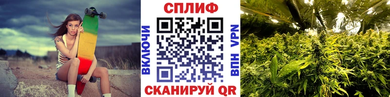 купить наркотики цена  Спасск-Рязанский  МАРИХУАНА THC 21% 